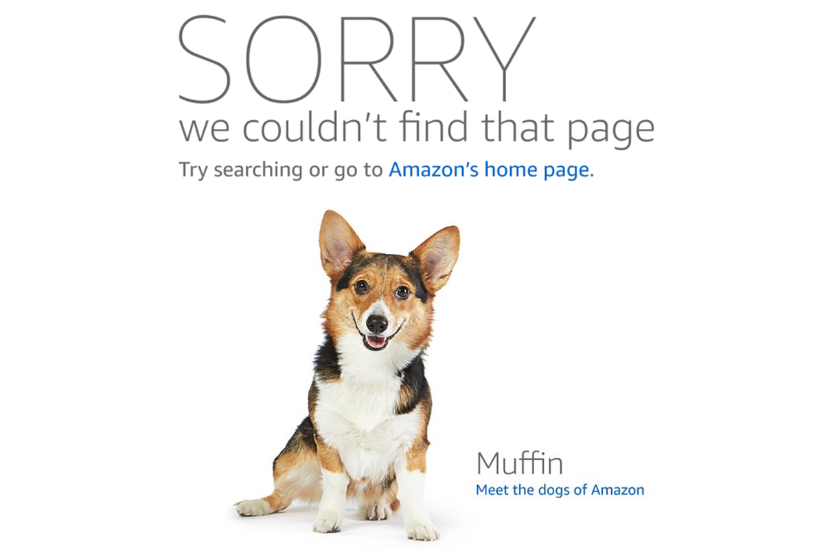 Pet dogs shop in amazon