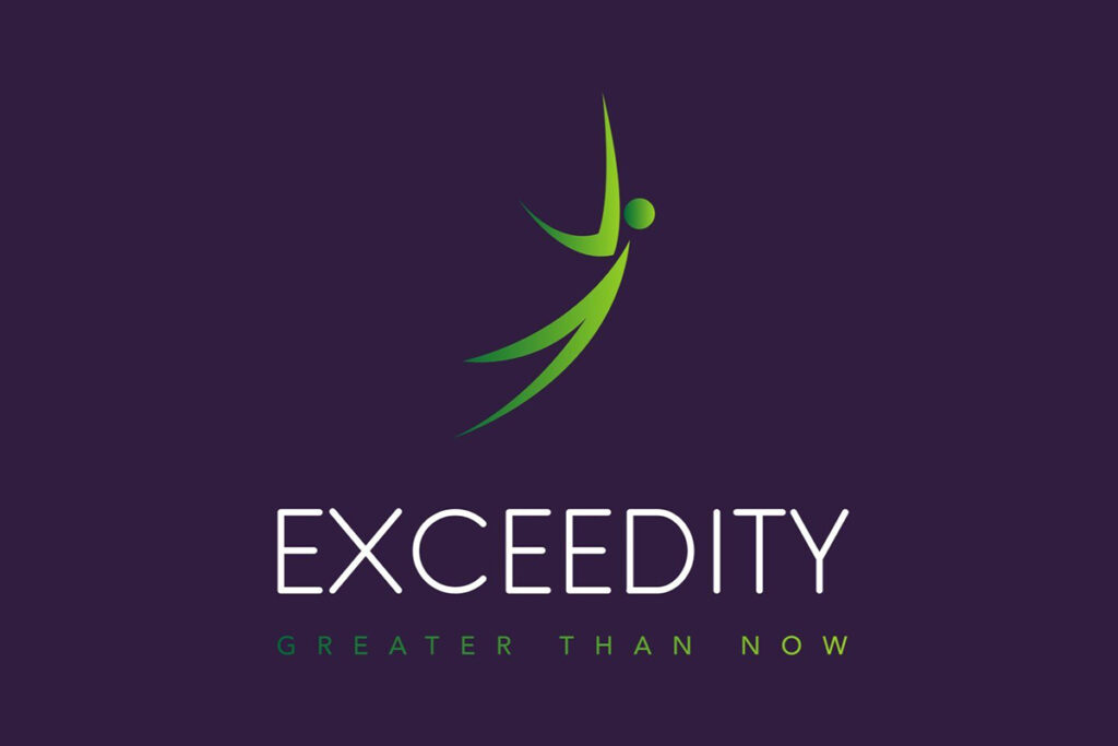 Exceedity AI scale-up advisory services