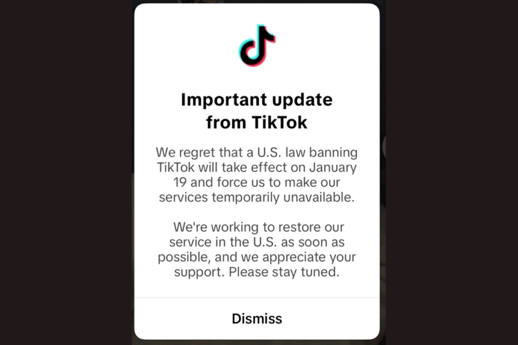 TikTok US goes dark and rises again