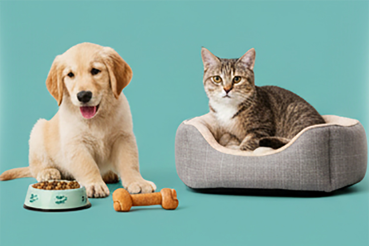 UK ecommerce growth in Q4 2025 driven by category-specific demand