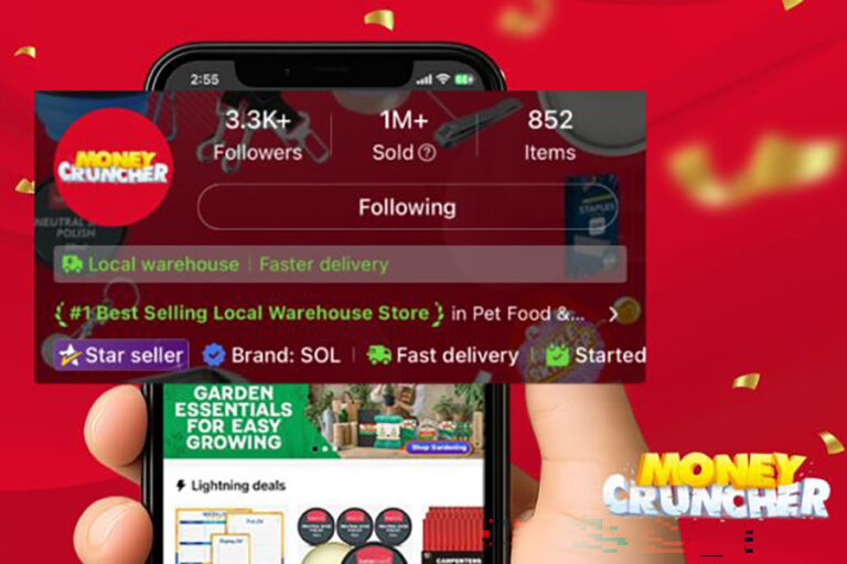 Money Cruncher hit 1,000,000 orders on Temu in just 15 months - ChannelX