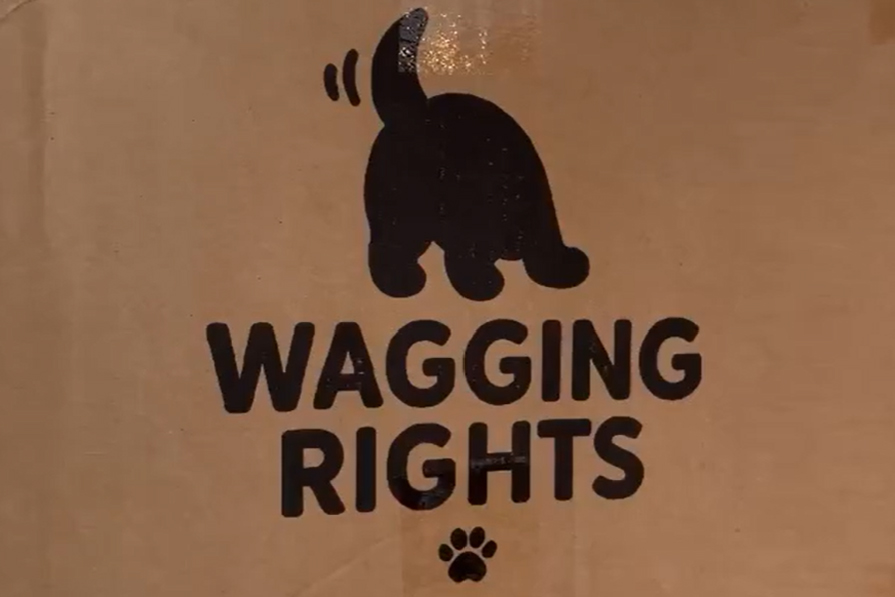 3PL fulfils 2,000 D2C Wagging Rights orders in first week