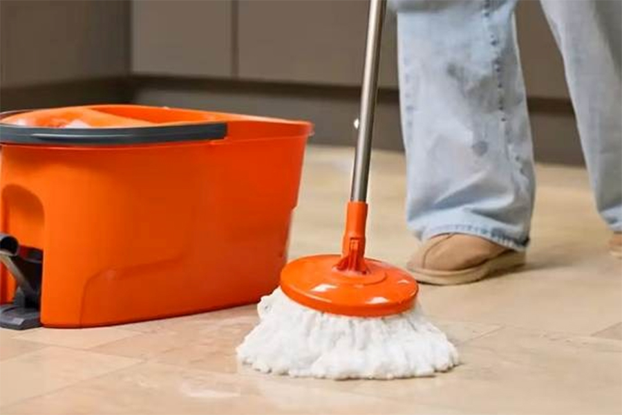 Eco 360 Group joined Temu to build visibility for new brand of mops and ...