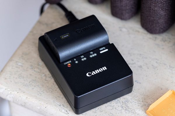 Amazon & Canon sue 29 camera batteries counterfeiters