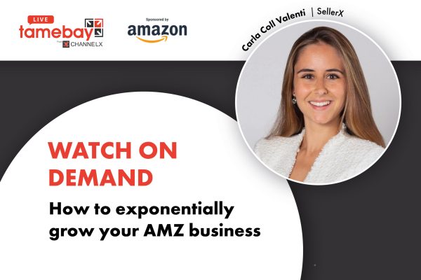 DAY-2-How-to-exponentially-grow-your-AMZ-business-scaled