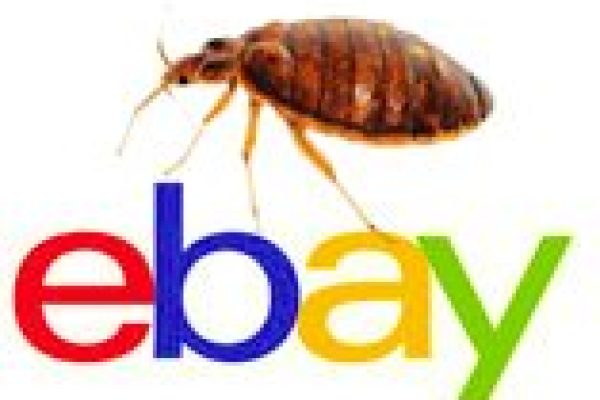 eBay-Bug