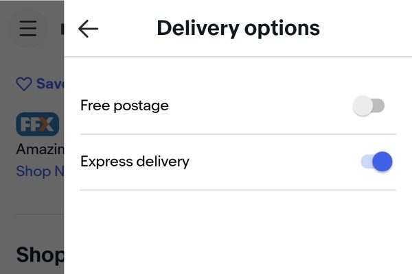 eBay-Express-Delivery-search-option-now-offered