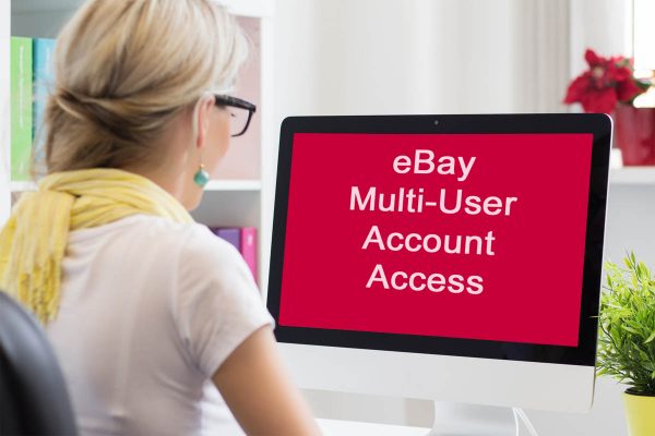 eBay Multi-user account access permissions