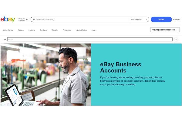 eBay further differentiate Business Sellers from Private Sellers